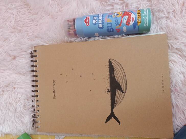 素描彩铅赠送素描本一个