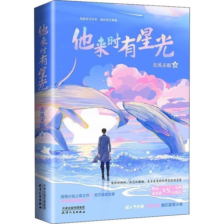 他来时有星光 北风未眠 言情高甜宠文都市情...