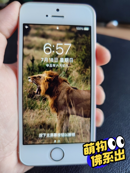 iPhone se 64g 日版 系统14...