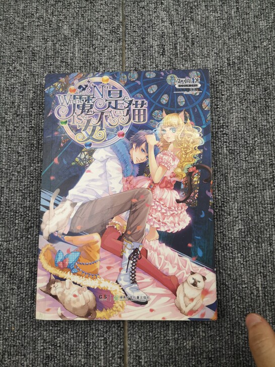 魅力优品7成新言情小说