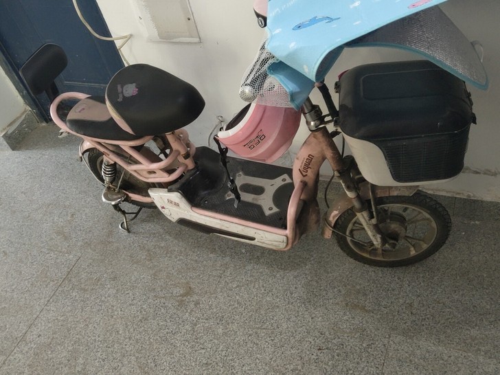 个人绿源电动车原装无修