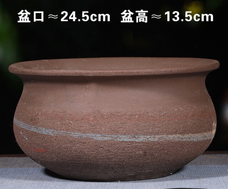 特大紫砂彩泥群生盆