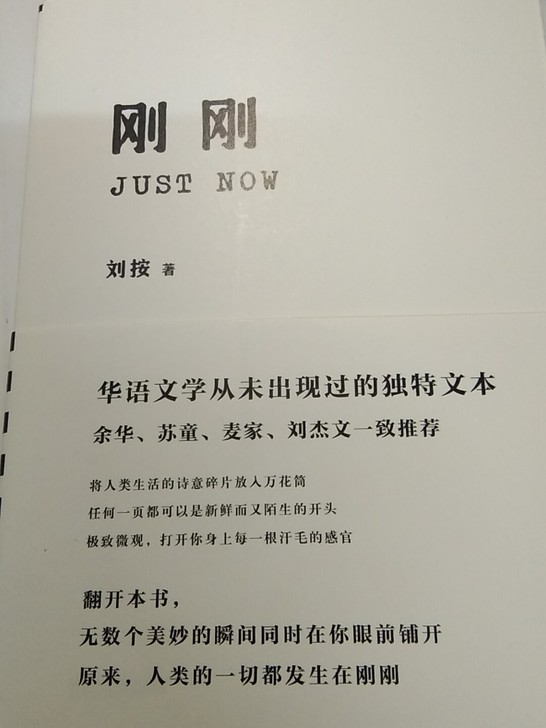 《刚刚》，刘按著，精装版