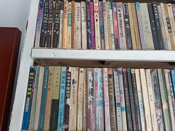老书，文学纪实武侠评书都有，海量书籍，欢迎...