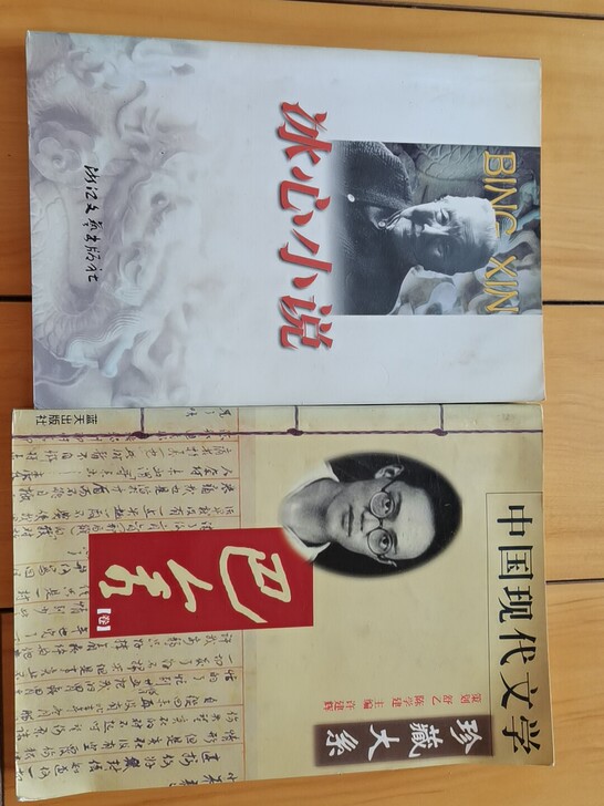 现代文学珍藏大系巴金冰心小说。一本3元，两...