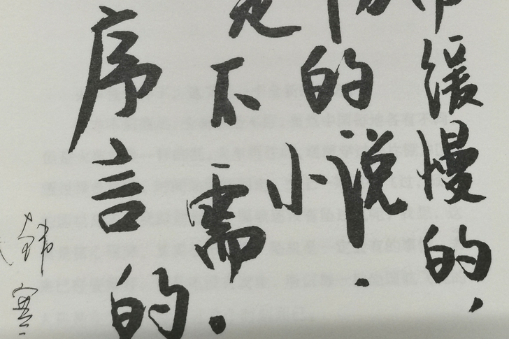 韩寒小说一座城池，2006年出版首版首印，...