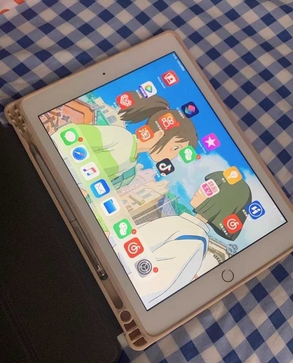 自用iPad2018款 128G  WiF...