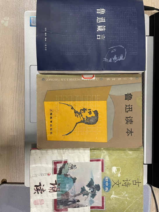 鲁迅箴言等