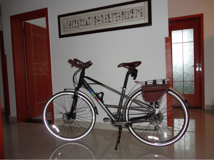 闲置全新无痕经典款捷安特帝柏3300旅行自...