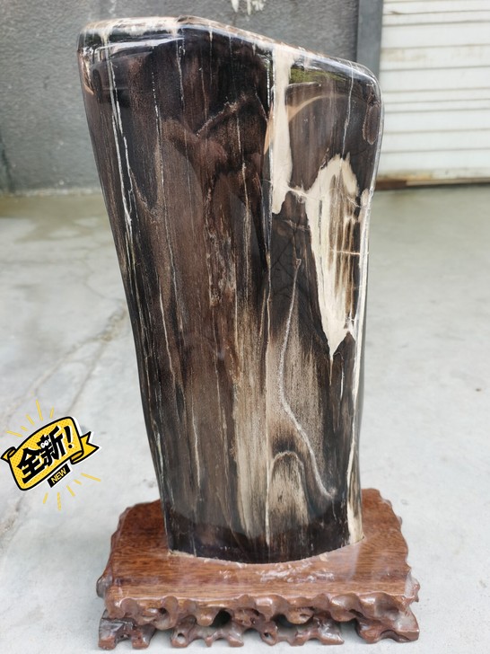 硅化木  高38MM*38树化石 纹理清晰...