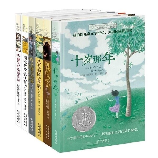全新 长青藤国际大奖小说书系全套6册 十岁...