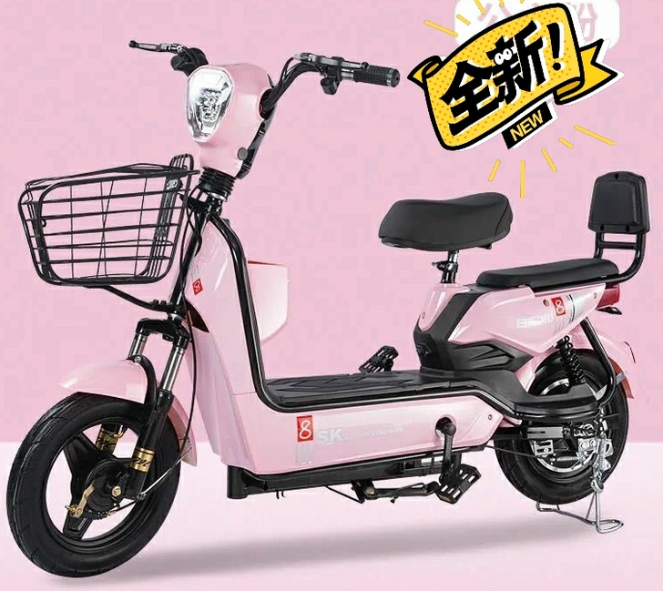 #节后鱼生#全新 实体店急售一批全新两轮女...