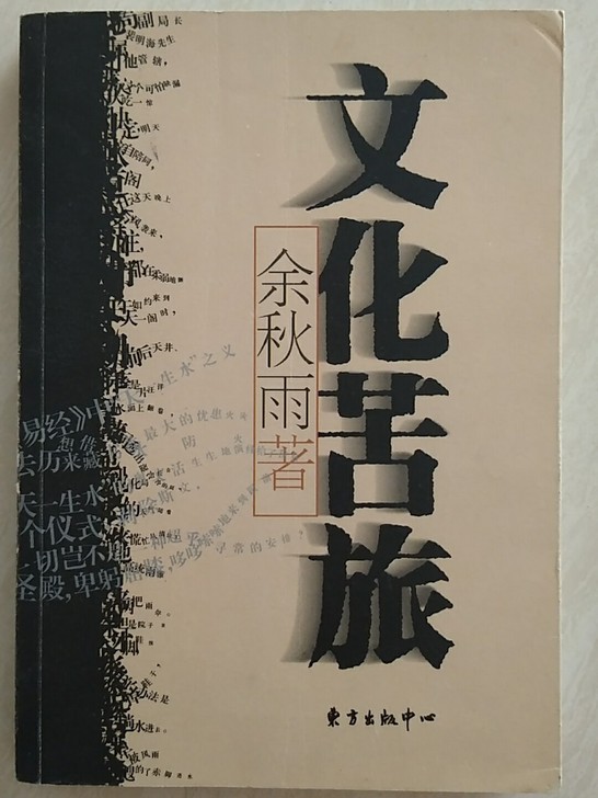 余秋雨散文《文化苦旅》。还有《尘埃落定》《...