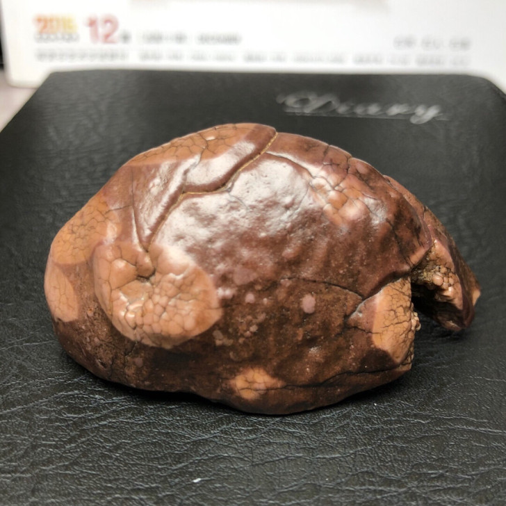 马牙石 开片石 阿拉善 戈壁石
