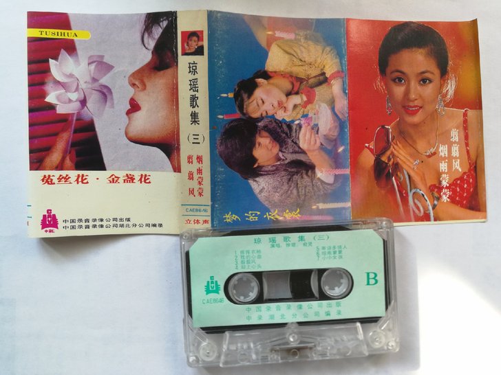 菟丝花 金盏花 琼瑶歌集(三) 老大陆原版...