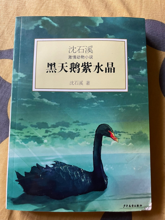 新华书店购买