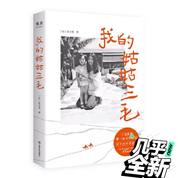 我的姑姑三毛