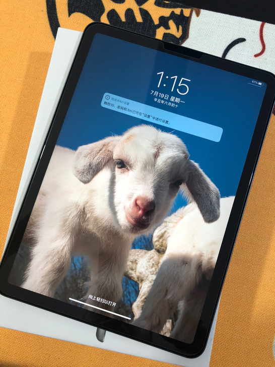 iPad air4 2020 WiFi版 ...