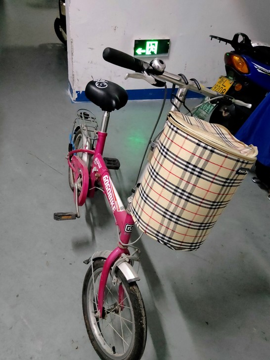 折叠自行车安琪，全铝合金款