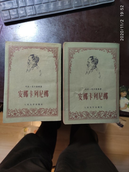 老书 安娜卡列尼娜 人民文学出版社