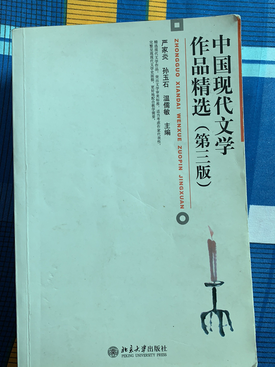 中国现代文学作品精选 严家炎