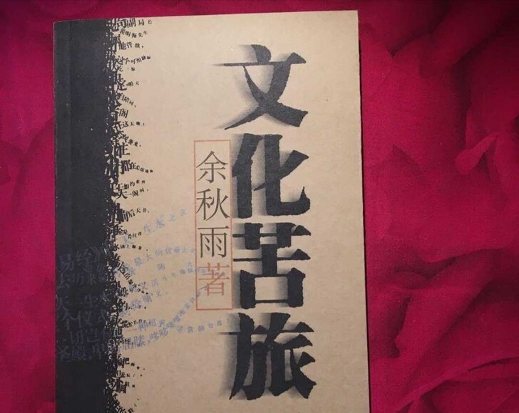 文化苦旅 余秋雨 正版二手书