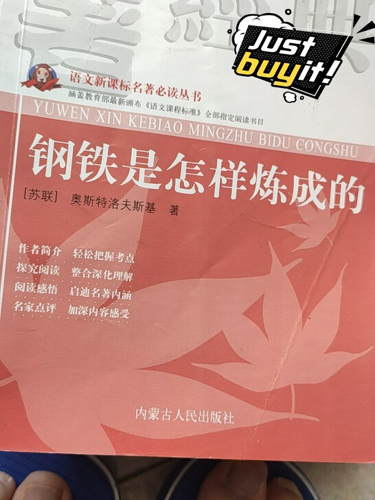 钢铁是怎样炼成的