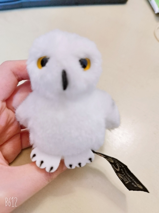 哈利波特周边 海明威