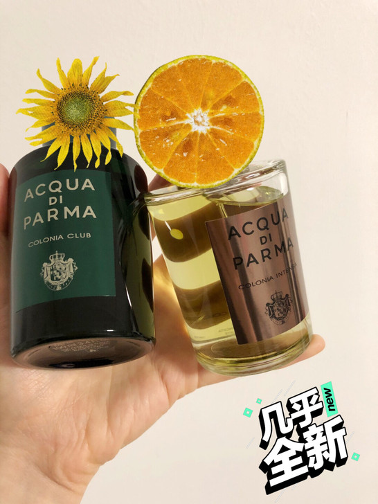 左边俱乐部古龙