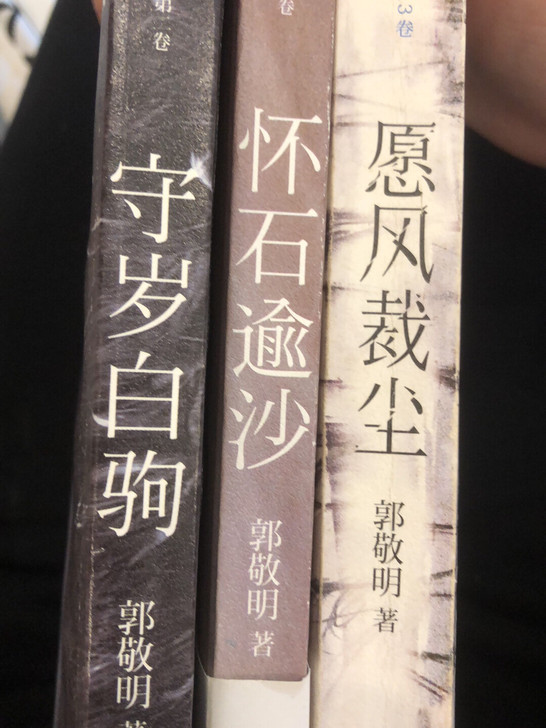 郭敬明散文三部曲。愿风裁尘怀石逾沙守岁白驹