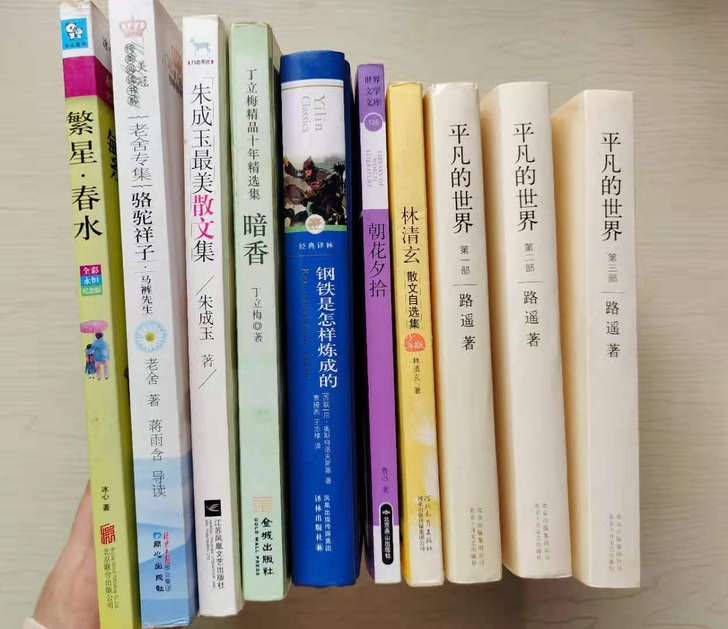 钢铁是怎样炼成的(精)/经典译林等文学作品...