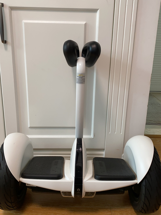 品牌型号 小米米家九号平衡车