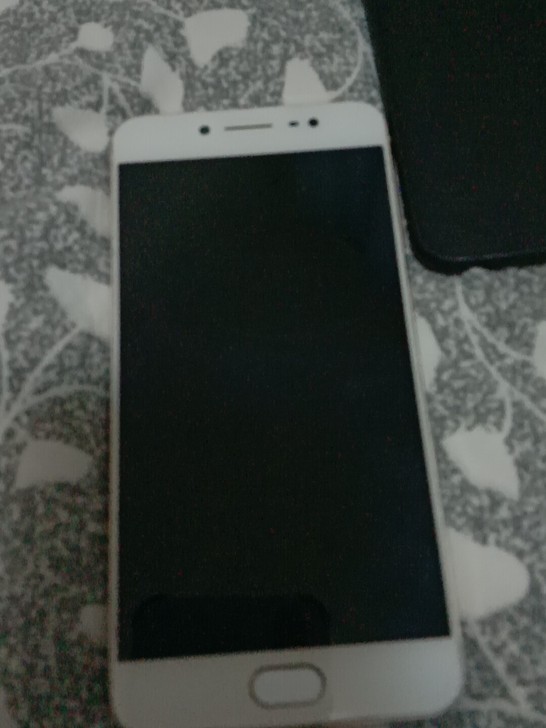 vivo  x7