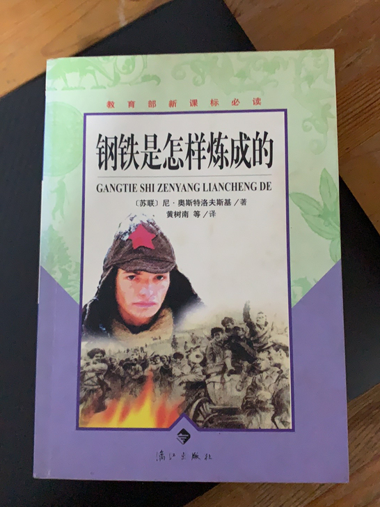 钢铁是怎样炼成的(教育部新课标必读)