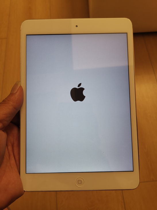 iPad迷你2 WIFI版16g香港版，成...