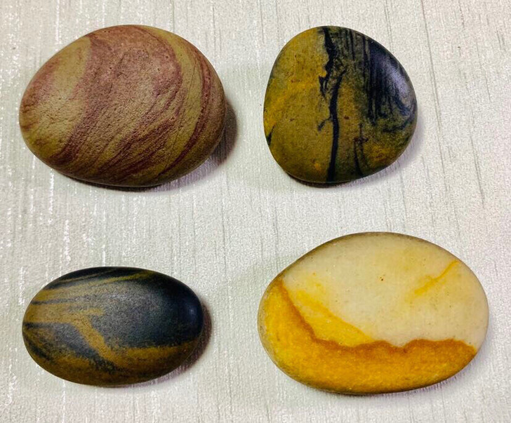 长江石 《春夏秋冬》水仙附石 奇石 天然图...