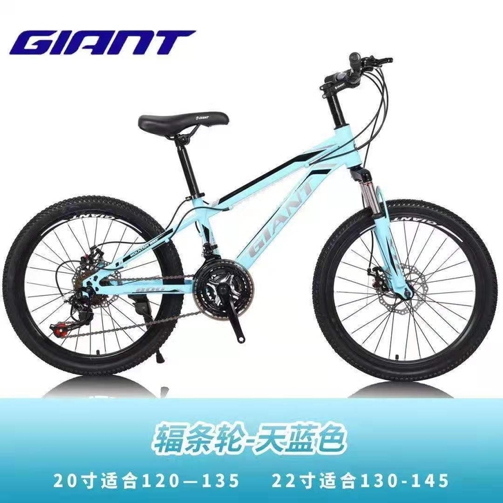儿童捷安特山地车自行车男孩女孩中小学生单车...