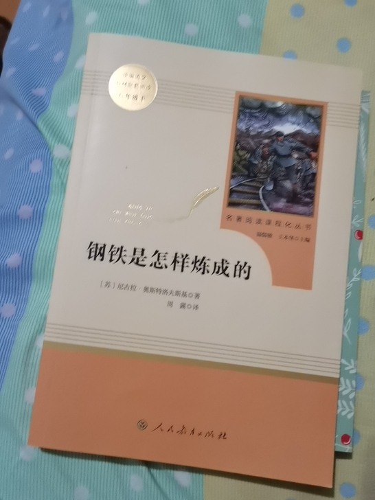 钢铁是怎样炼成的，傅雷家书，共两本书，里面...