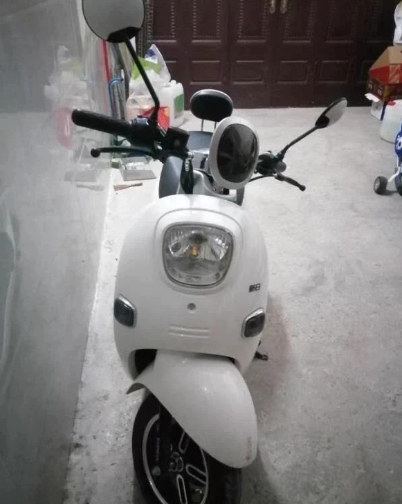 新日小龟王电动车风雅欧妮电动摩托车60V成...