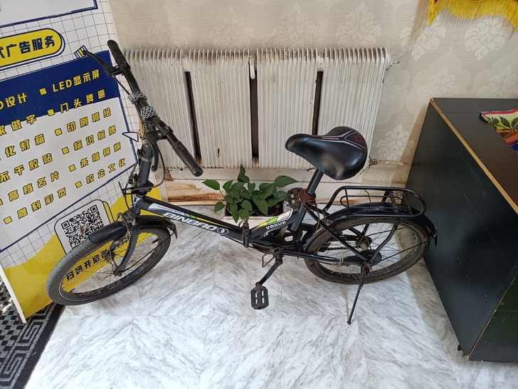 自用折叠自行车，小巧轻便，转有缘人