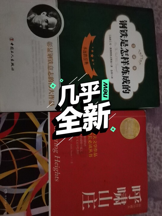 钢铁是怎样炼成的，呼啸山庄全新25带走