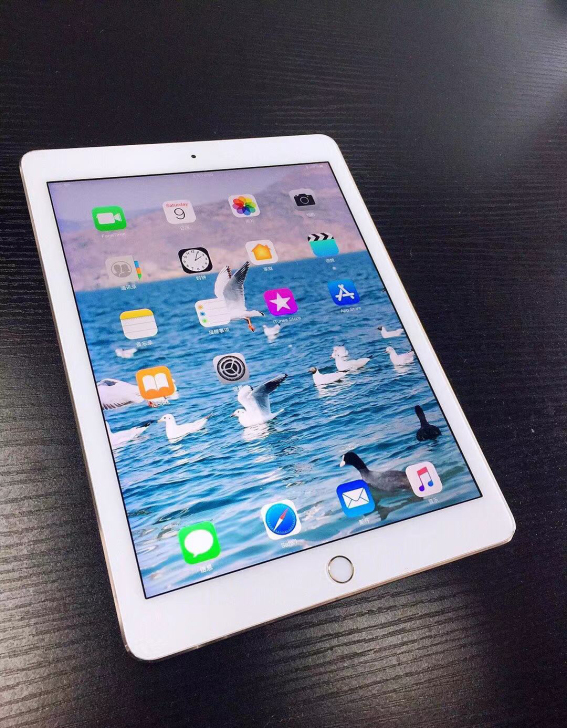 苹果iPad mini 2 3 4 个人闲...