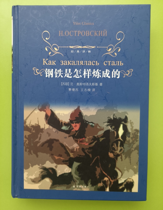 品牌型号： 钢铁是怎么炼成的（译林出版社）