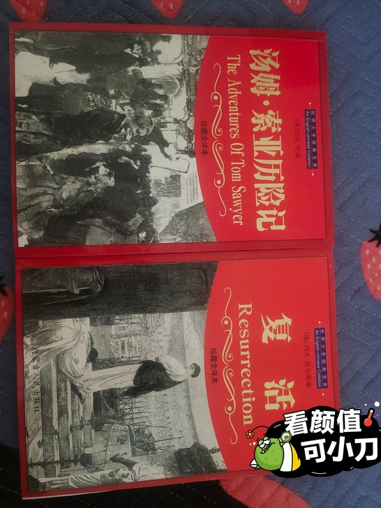 汤姆##amp；middot；索菲亚历险记...