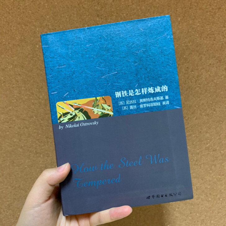 《钢铁是怎样炼成的》-尼古拉##amp；m...