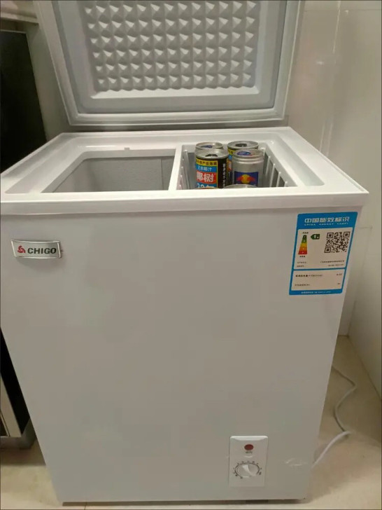 志高特价节能小冰柜大容量冷柜家用小型冷冻柜...