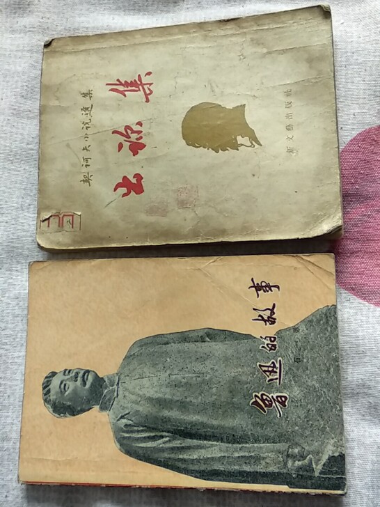 老书两本，鲁迅的故事1974年版，出诊集1...