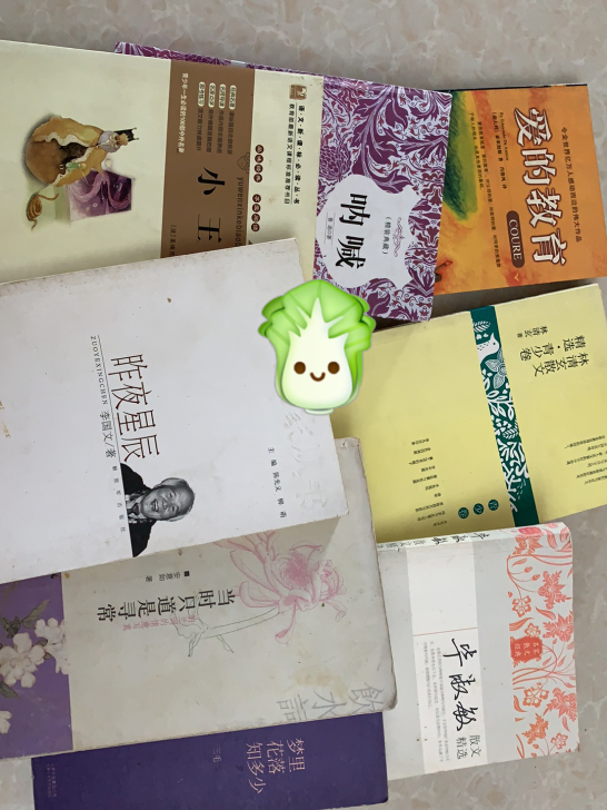 小王子/爱的教育/林清玄/毕淑敏/昨夜星辰...