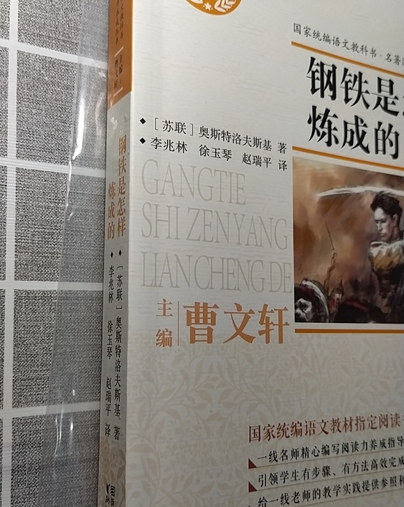 名著必读《钢铁是怎样炼成的》