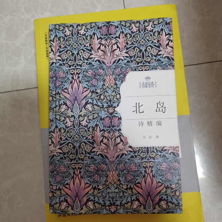 北岛诗歌系列